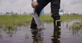 In the news: Intents Festival vs insurers after heavy rain damage