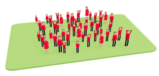 Organisation & team management